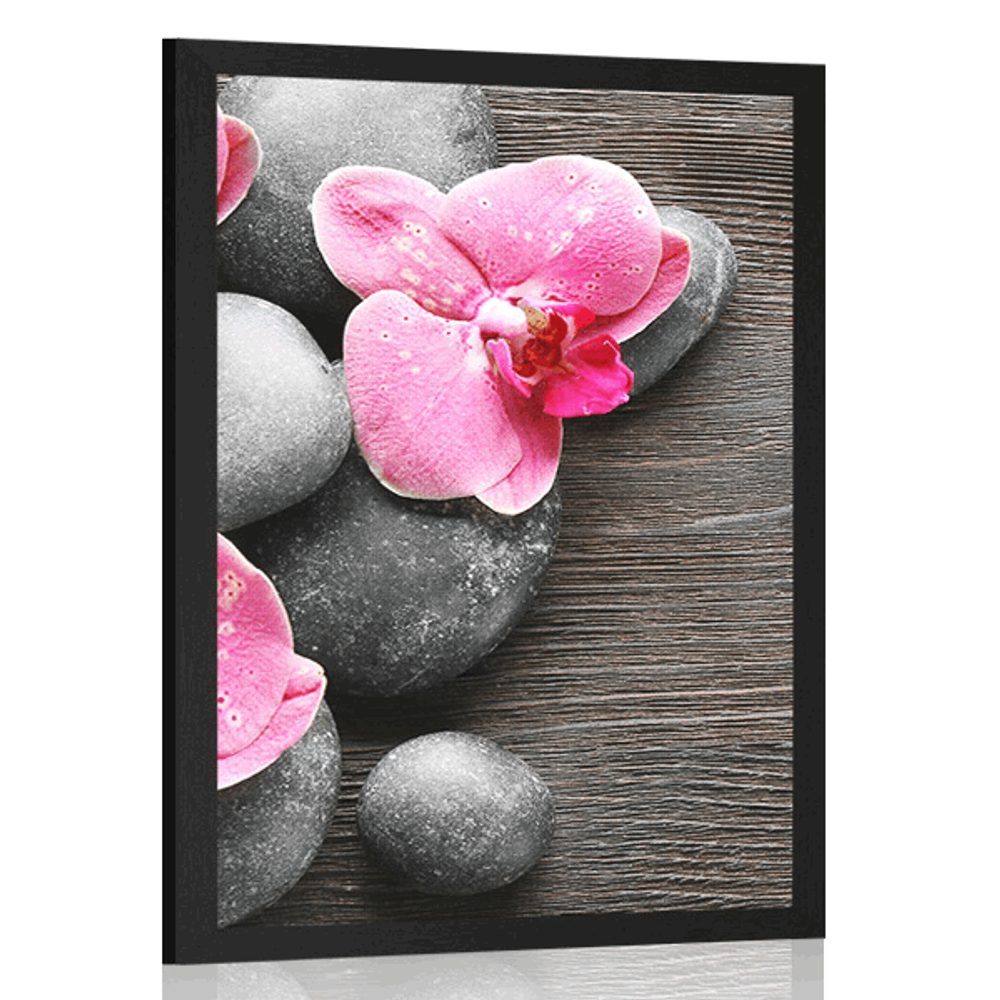 Plakát elegantní kompozice s květinami orchideje