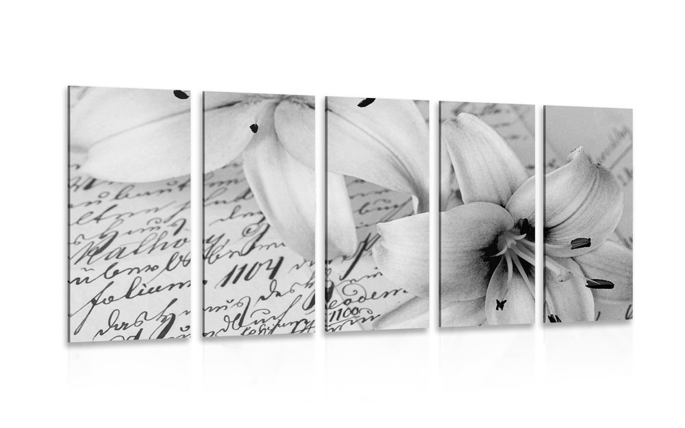 5-dílný obraz lilie na starém dokumentu v černobílém provedení