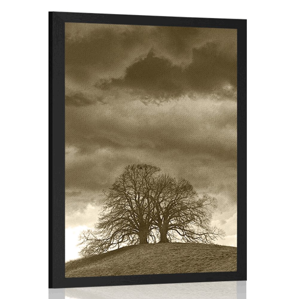 Plakát sépiové osamělé stromy