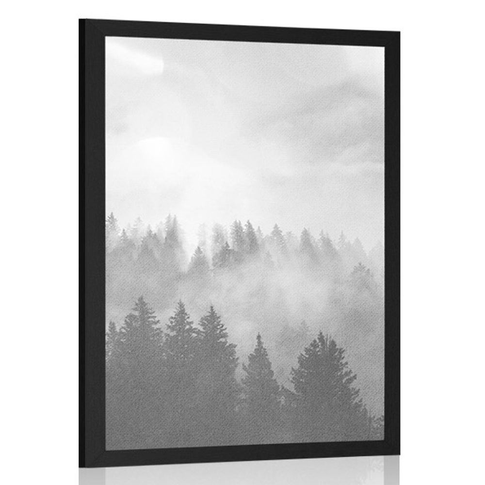 Plakát mlha nad lesem v černobílém provedení