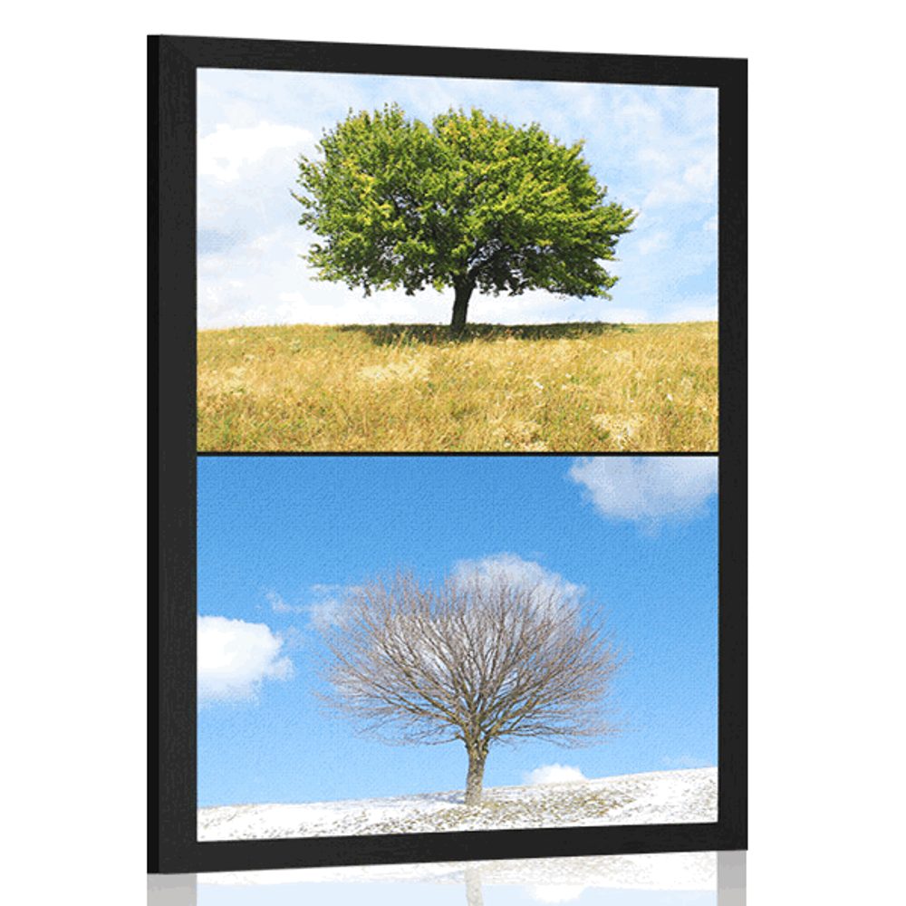 Plakát strom v ročních obdobích