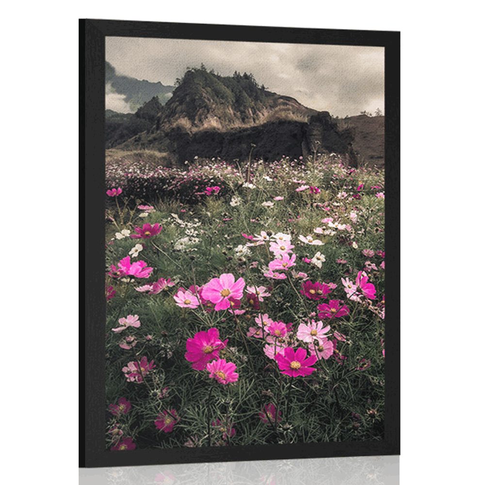 Plakát louka kvetoucích květin