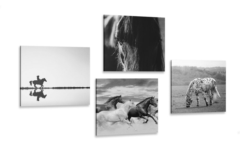 Set obrazů pro milovníky koní v černobílém provedení