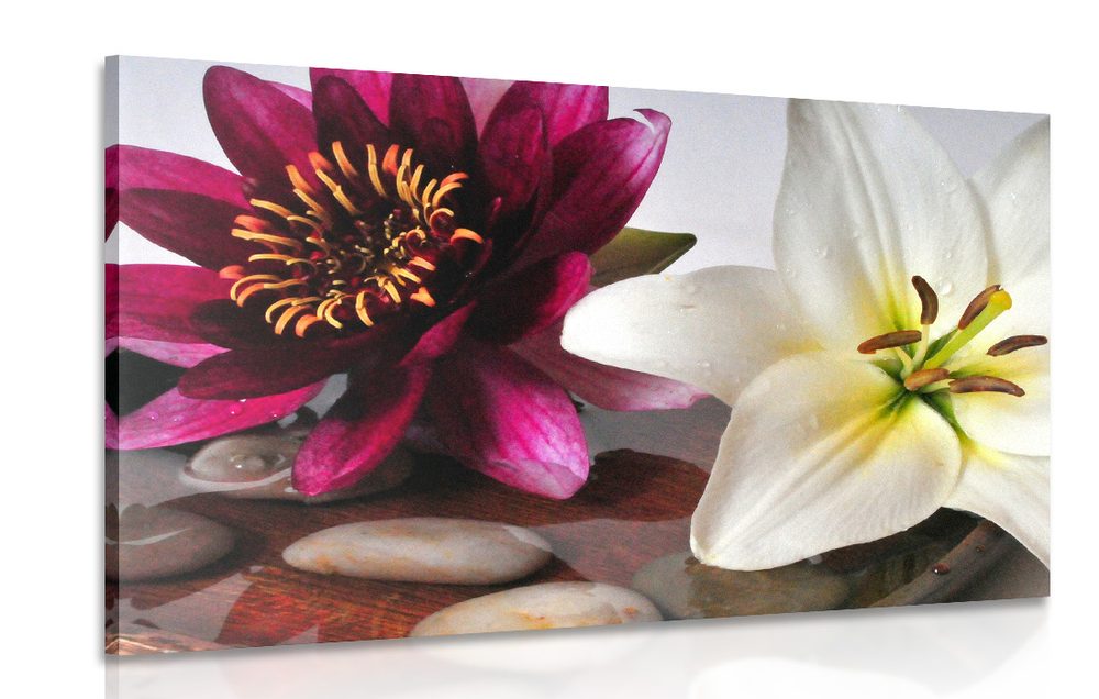 Obraz kvety v miske so Zen kameňmi