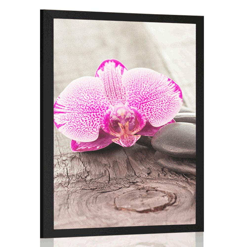 Plagát s paspartou orchidea a Zen kamene na drevenom podklade
