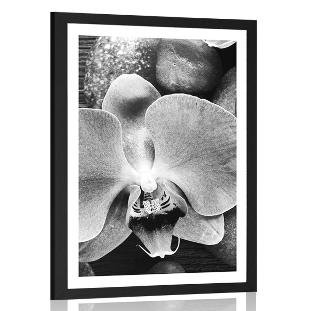 Plakát s paspartou nádherná orchidej a kameny v černobílém provedení