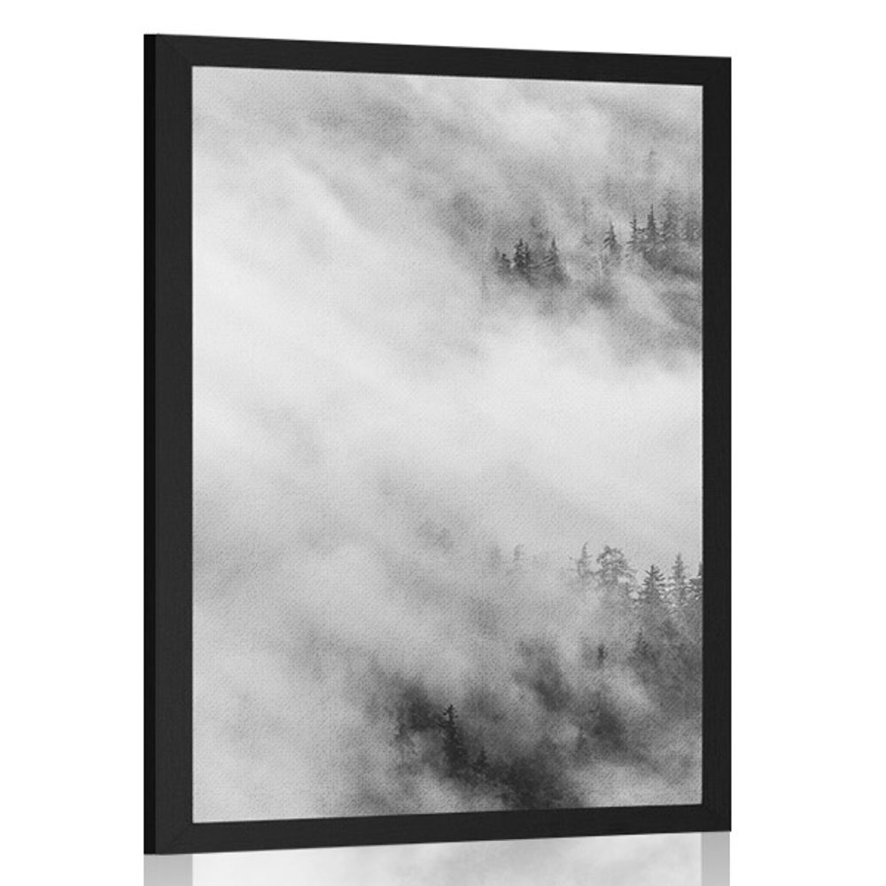 Plakát černobílý mlhavý les
