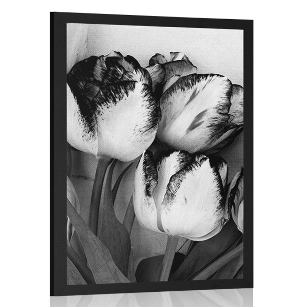 Plakát jarní tulipány v černobílém provedení