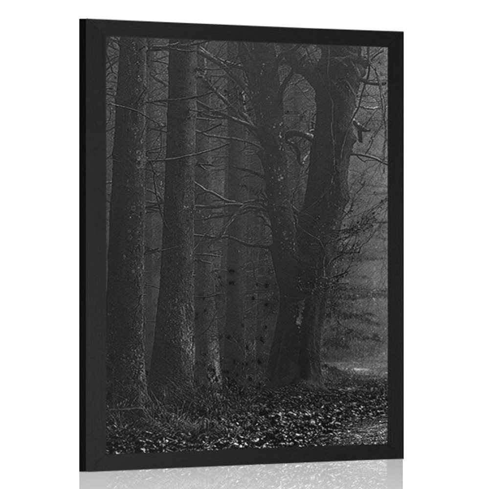 Plakát těsta v lese v černobílém provedení