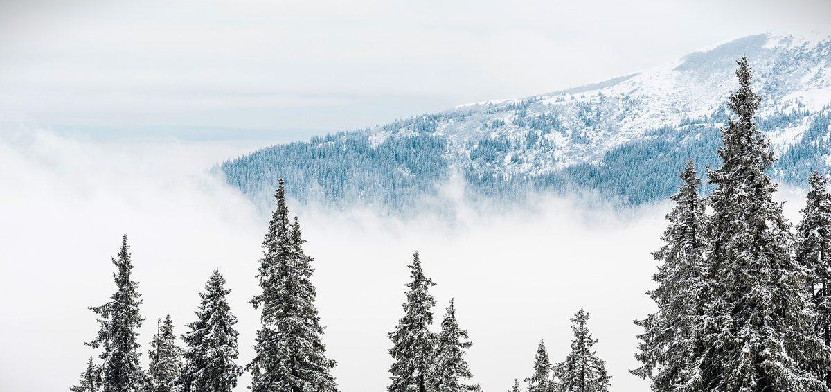 Vytvorte si nezabudnuteľnú vianočnú atmosféru s Dovido