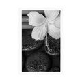POSTER WELLNESS STILL LIFE IN BLACK AND WHITE - BLACK AND WHITE - POSTERS