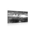 CANVAS PRINT SUNSET ON A BEACH IN BLACK AND WHITE - BLACK AND WHITE PICTURES - PICTURES