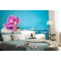 WALL MURAL ORCHID AND ZEN STONES - WALLPAPERS FENG SHUI - WALLPAPERS