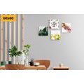 CANVAS PRINT SET FOR THE KITCHEN IN AN INTERESTING STYLE - SET OF PICTURES - PICTURES