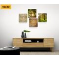 CANVAS PRINT SET BREEZE OF NATURE WITH AN INSCRIPTION - SET OF PICTURES - PICTURES