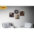 CANVAS PRINT SET MAGIC OF COFFEE - SET OF PICTURES - PICTURES