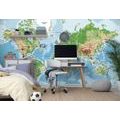 WALLPAPER CLASSIC WORLD MAP - WALLPAPERS MAPS - WALLPAPERS