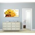 CANVAS PRINT FIERY LION - PICTURES OF ANIMALS - PICTURES
