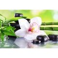 CANVAS PRINT JAPANESE ORCHID - PICTURES FENG SHUI - PICTURES