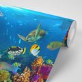 WALL MURAL UNDERWATER WORLD - WALLPAPERS NATURE - WALLPAPERS