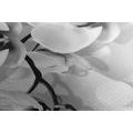 CANVAS PRINT BLACK AND WHITE ORCHID ON AN ABSTRACT BACKGROUND - BLACK AND WHITE PICTURES - PICTURES