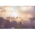 WALL MURAL FOG OVER THE FOREST - WALLPAPERS NATURE - WALLPAPERS