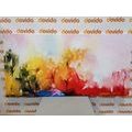 CANVAS PRINT ABSTRACT NATURE - ABSTRACT PICTURES - PICTURES