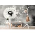 WALL MURAL MAGICAL BLACK AND WHITE DANDELION - BLACK AND WHITE WALLPAPERS - WALLPAPERS