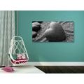 CANVAS PRINT ZEN STONE IN THE SHAPE OF A HEART IN BLACK AND WHITE - BLACK AND WHITE PICTURES - PICTURES