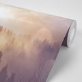 WALL MURAL FOG OVER THE FOREST - WALLPAPERS NATURE - WALLPAPERS