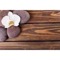 WALL MURAL WELLNESS STONES ON WOOD - WALLPAPERS FENG SHUI - WALLPAPERS