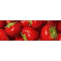 SELF ADHESIVE PHOTO WALLPAPER FOR KITCHEN FRESH STRAWBERRIES - WALLPAPERS