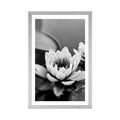 POSTER WITH MOUNT LOTUS FLOWER IN THE LAKE IN BLACK AND WHITE - BLACK AND WHITE - POSTERS