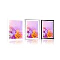 POSTER WITH MOUNT OIL PAINTING OF COLORFUL FLOWERS - FLOWERS - POSTERS