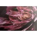 CANVAS PRINT FLORAL ILLUSION - ABSTRACT PICTURES - PICTURES