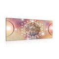 CANVAS PRINT CHARMING MANDALA - PICTURES FENG SHUI - PICTURES