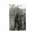 POSTER FLOCK OF CROWS - NATURE - POSTERS
