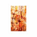 POSTER WITH MOUNT DANDELION IN SHADES OF ORANGE - FLOWERS - POSTERS