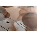 CANVAS PRINT ABSTRACT SHAPES NO13 - PICTURES OF ABSTRACT SHAPES - PICTURES