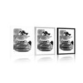 POSTER WITH MOUNT SPA STONES AND AN ORCHID IN BLACK AND WHITE - BLACK AND WHITE - POSTERS