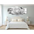 5-PIECE CANVAS PRINT LUXURY ROSE IN BLACK AND WHITE - BLACK AND WHITE PICTURES - PICTURES