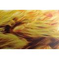 CANVAS PRINT FIERY LION - PICTURES OF ANIMALS - PICTURES