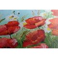 CANVAS PRINT PAINTED FIELD POPPIES - PICTURES FLOWERS - PICTURES