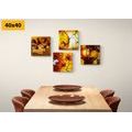 CANVAS PRINT SET IN ETHNO STYLE - SET OF PICTURES - PICTURES