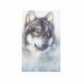 POSTER WOLF IN A SNOWY LANDSCAPE - ANIMALS - POSTERS
