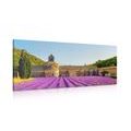 CANVAS PRINT PROVENCE WITH LAVENDER FIELDS - PICTURES OF CITIES - PICTURES