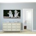 CANVAS PRINT PAIR OF SMALL ANGELS - PICTURES OF ANGELS - PICTURES