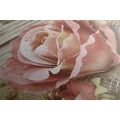 CANVAS PRINT PINK VINTAGE ROSE - VINTAGE AND RETRO PICTURES - PICTURES