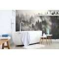 WALL MURAL FOREST IN A BLACK AND WHITE FOG - BLACK AND WHITE WALLPAPERS - WALLPAPERS