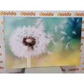 CANVAS PRINT MAGICAL DANDELION - PICTURES FLOWERS - PICTURES